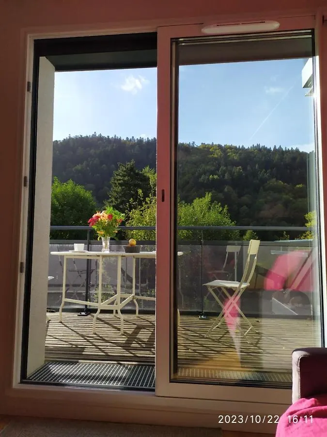 Apartment Grand T2 Recent, Confort 4*, Vue Superbe. Le Mont-Dore